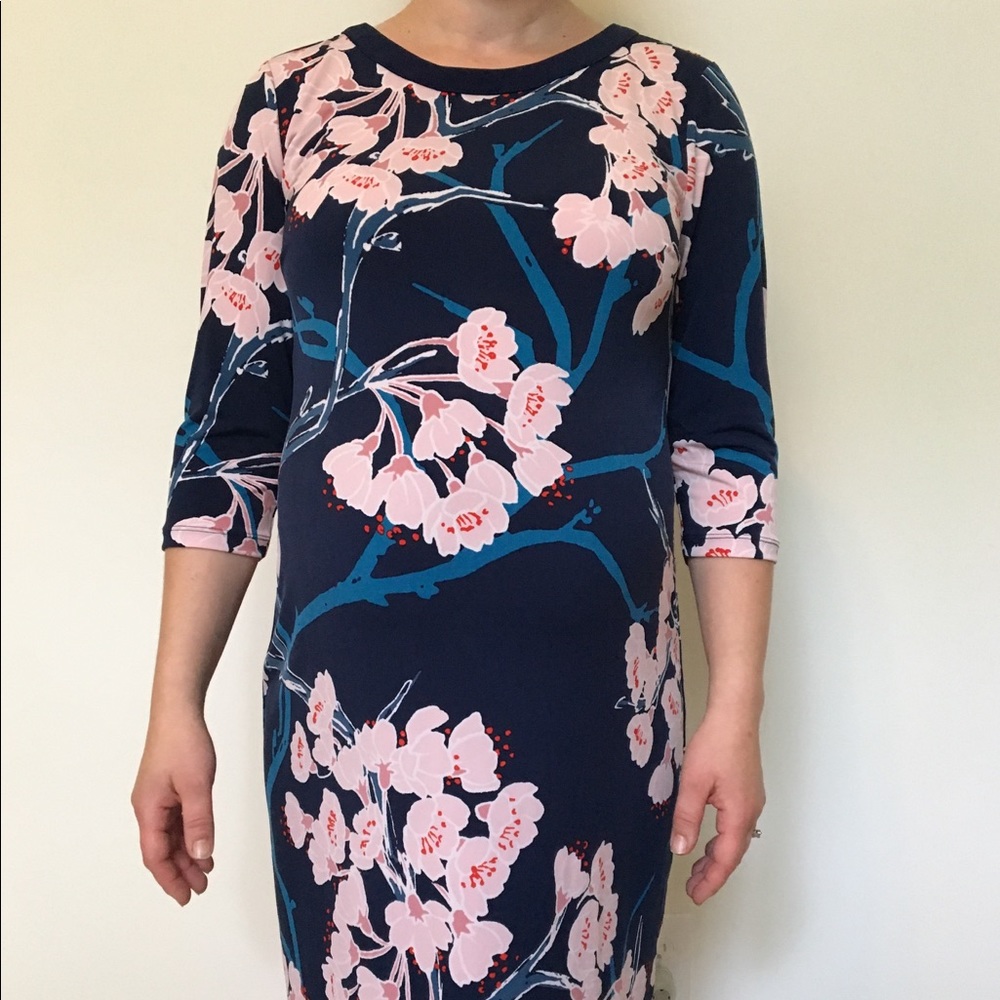 Pea in the Pod Maternity Dress